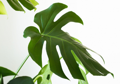 ergita-sela-OFrc0b8ruts-unsplash-scaled-1600x900